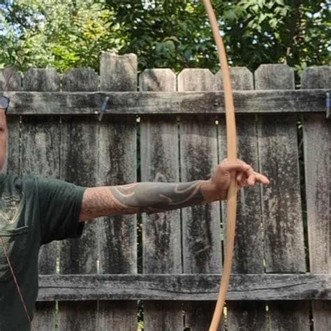 Image result for BattleTech Longbow