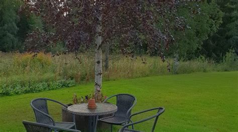 VARMINKOSKEN LEIRINTA (Liminka) - Cottage Reviews & Photos - Tripadvisor