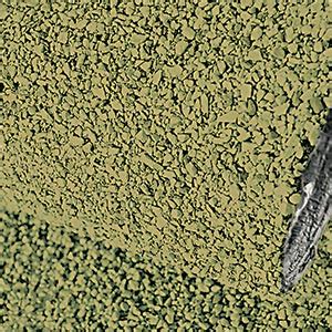 TECHNONICOL ENVIRO FOREST: Moss-Resistant Roofing & Waterproofing