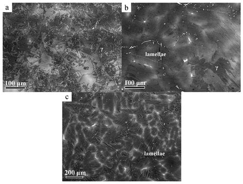 Microstructure Evolution of a Ti-45Al-8.5Nb-0.2W-0.2B-0.02Y Alloy ...