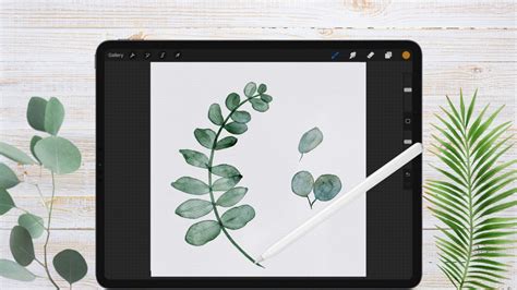 Image result for Procreate Digital Over