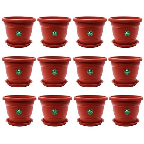 TrustBasket Terracotta pots with Bottom Plates - 12 Pcs (8 inch ...