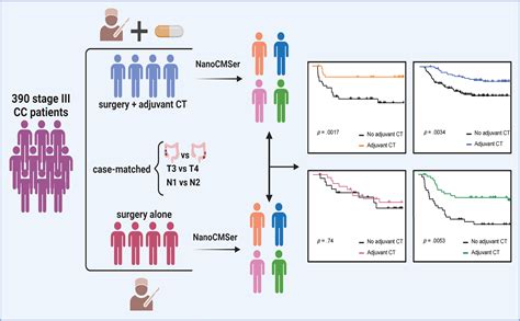 Stage Iii Colorectal Cancer Survival