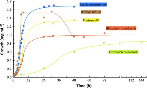 Image result for Exponential Phase Graph