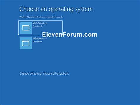 Image result for Custom Install Windows 11