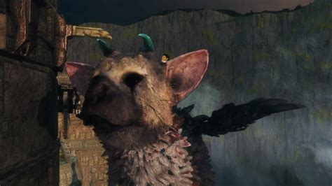 Making Sense of Trico: The Last Guardian's Misunderstood Hero