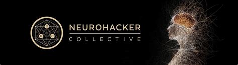 Image result for Deeplizard Deep Learning