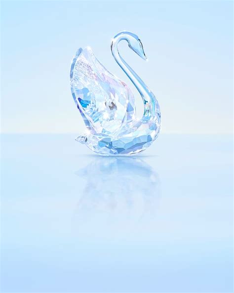 The SCS Annual Edition Swan 2024 | Swarovski IN