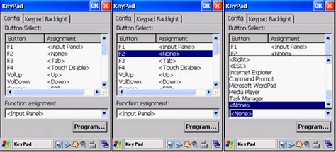 Image result for Key Programming Dompe File