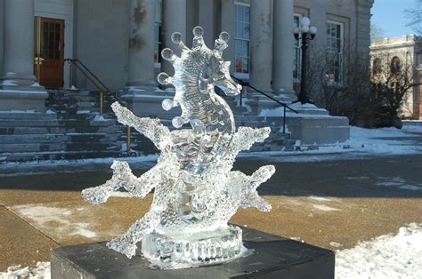 Concord NH Winter Festival — Visit Concord New Hampshire