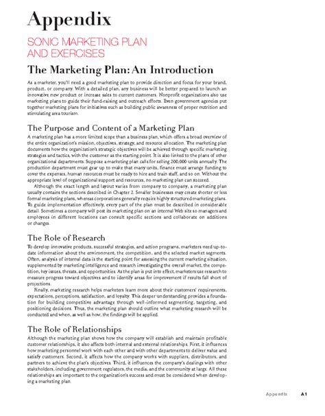 Sonic marketing plan 1 - Appendix Appendix A SONIC MARKETING PLAN AND ...