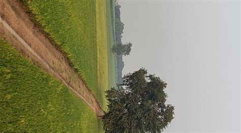 KHUBBER AGRICULTURE FARM (Radaur) - Campground Reviews & Photos ...