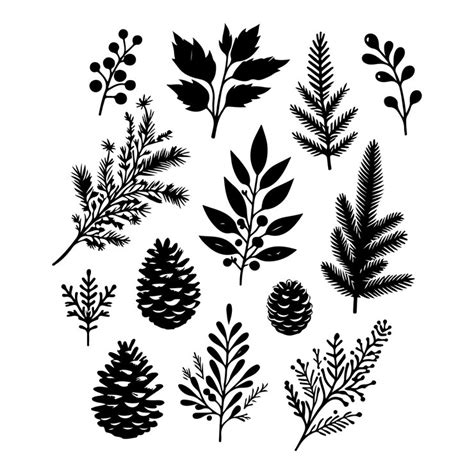 Pine tree vector silhouette tree vector silhouetteblack color vector ...