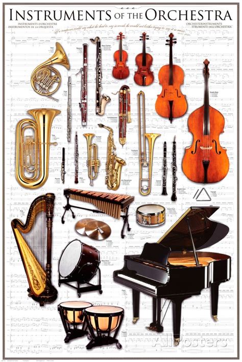 Image result for Classical Orchestra Instruments