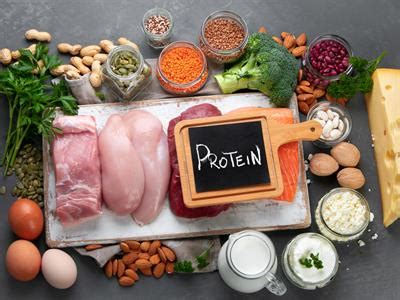 Proteins and fat — lesson. Science State Board, Class 9.