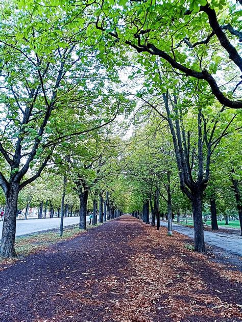 Movies/Tv Wallpaper 的图像结果