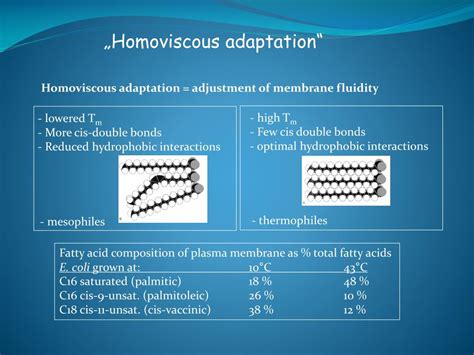 Image result for Reaction Engineering Explained