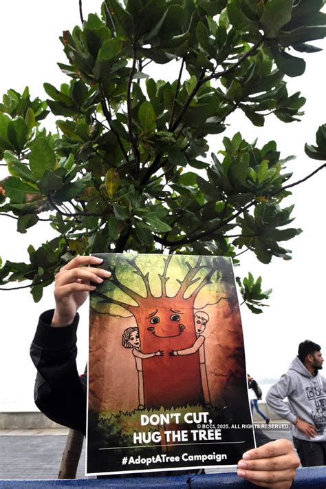 Angry Mumbaikars take to streets against slashing of Aarey forest trees ...