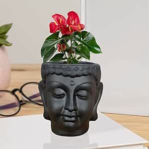 Lasaki Buddha midi Black Ceramic Pots for Indoor Plants, Planters ...