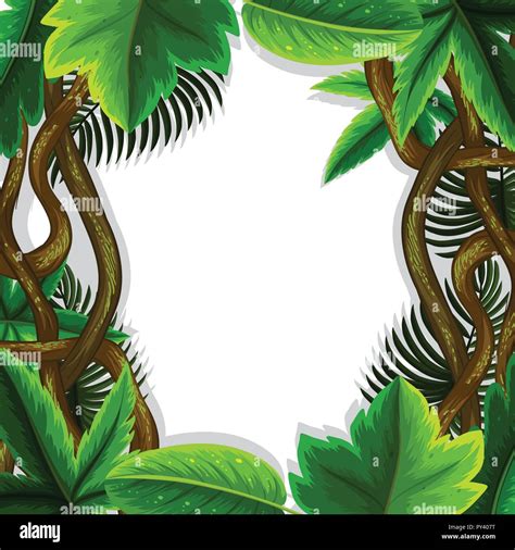 jungle leaves frame concept illustration Stock Vector Image & Art - Alamy