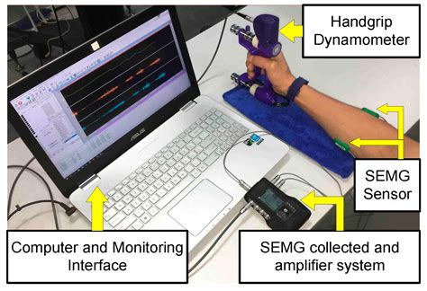 Estimation of Handgrip Force from SEMG Based on Wavelet Scale Selection