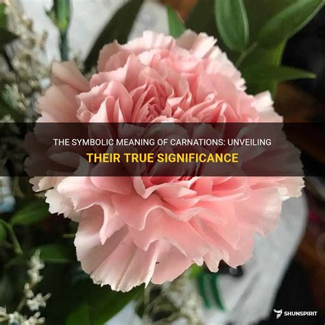 The Symbolic Meaning Of Carnations: Unveiling Their True Significance ...