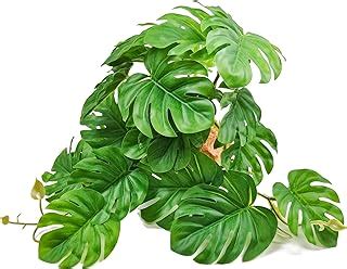 Image result for Sturdy Python Safe Plants