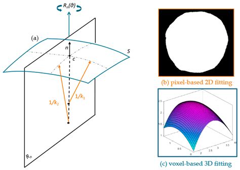 On the Measurement of Particle Contact Curvature and Young’s Modulus ...