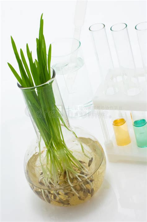 生物技术图片 的图像结果