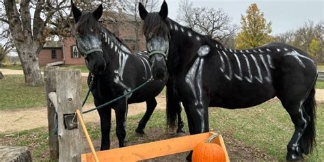 Halloween on the Farm, 15788 Kelley Farm Rd NW, Elk River, MN, United ...