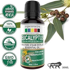 Organix Mantra Eucalyptus Essential Oil - 30ML - 100% Pure, Therapeutic ...