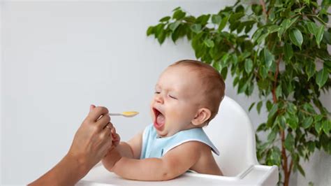 Can A 6 Months Old Baby Eat Eggs? Find Out Here