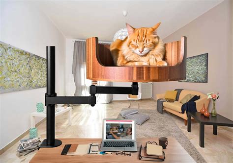 How Do Cats Vibrate: Understanding Feline Purring Mechanics – Desk Cat Nest