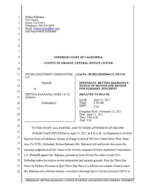 Summary judgment Examples 的图像结果