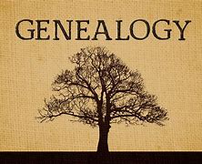 Image result for Genealogy