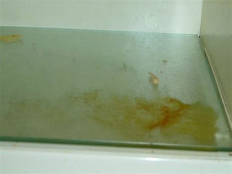 CALDERHOUSE INN BED & BREAKFAST (Saskatoon, Saskatchewan) - B&B Reviews ...