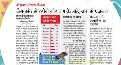 गोडावण: राजस्थान का राज्य पक्षी Godawan Rajasthan ka Rajya Pakshi