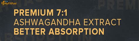 MyFitFuel Ashwagandha Root Extract (7% Withanolides) with Piperine 95% ...