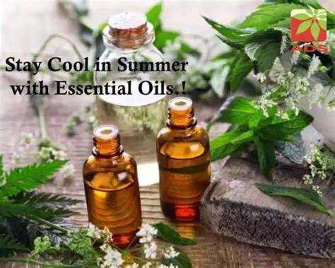 8 Surprising Benefits of Cottonseed Oil & More | AOS Blog