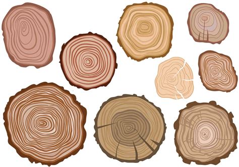 Image result for Tree Ring Cartoon
