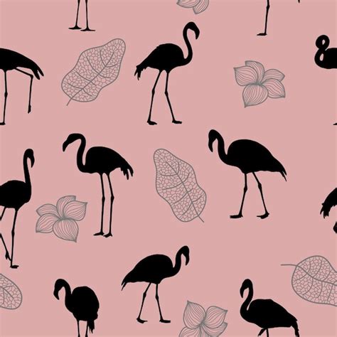 Modello senza cuciture con sagome di uccelli fenicotteri tropicali su ...