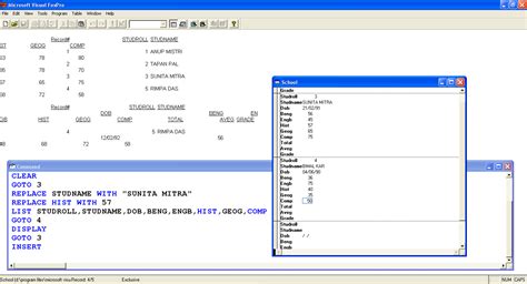 Visual Fox Database 的图像结果