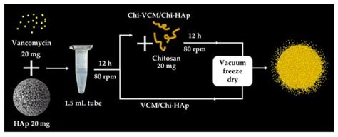 Porous Chitosan/Hydroxyapatite Composite Microspheres for Vancomycin ...