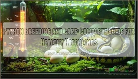Image result for Ball Python Reproduction
