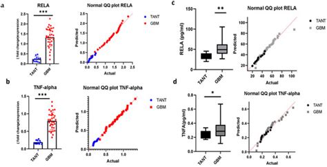 Celecoxib Suppresses NF-κB p65 (RelA) and TNFα Expression Signaling in ...