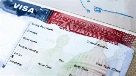 AI startup co-founder's green card denied in major US immigration ...