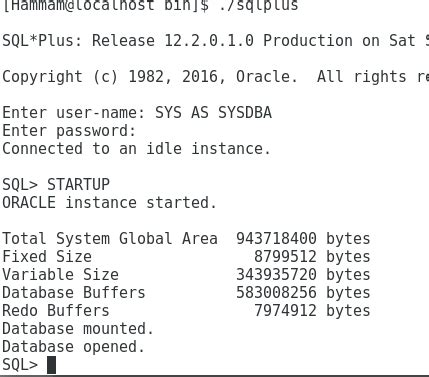 Image result for Oracle 12C SQL*Plus Image