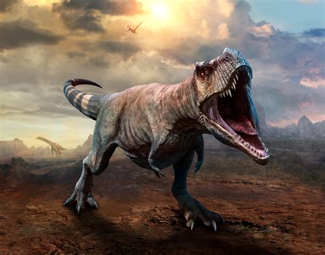 Dinosaur Pictures T Rex