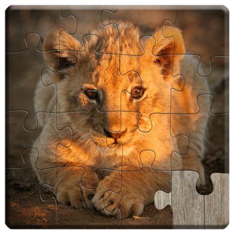 Cute Animal Puzzles for Kids - Fun and Educational Jigsaw Puzzle Game ...