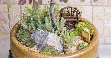 Miniature Succulent Garden Ideas | Succulents and Sunshine